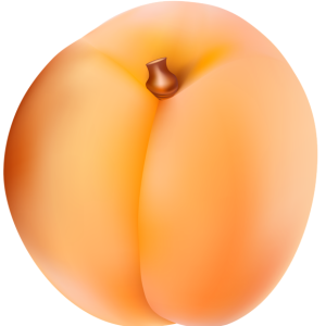 Large image apricot PNG