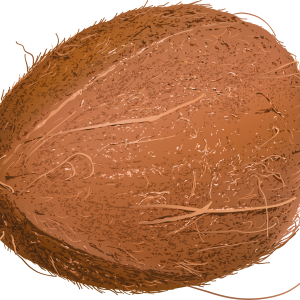 Coconut PNG image