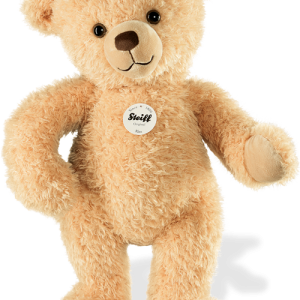Teddy bear PNG