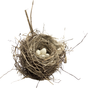 Nest PNG