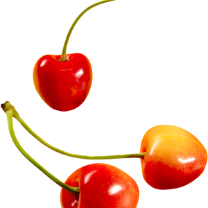cherry PNG image