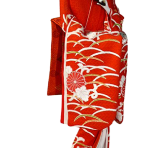 Kimono PNG
