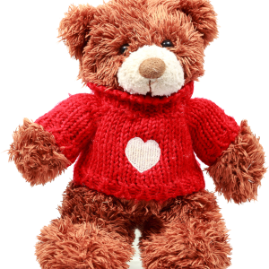 Teddy bear PNG