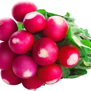 Radish PNG