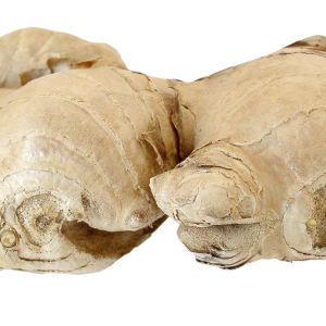 Ginger PNG