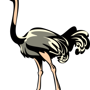 Ostrich PNG