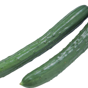 Cucumber long PNG