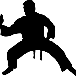 Karate siluete PNG