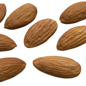 Almond PNG