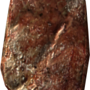 Steak meat PNG