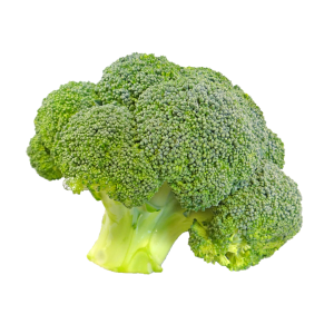 Broccoli PNG