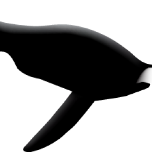 Penguin PNG image