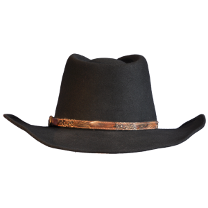 Cowboy hat PNG