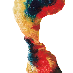 Footprints PNG