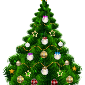 Christmas tree PNG