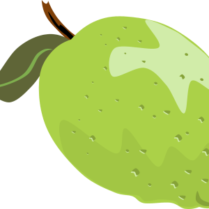 Guava PNG