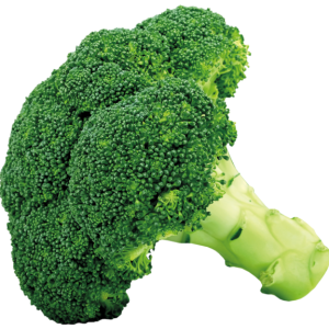 Broccoli PNG