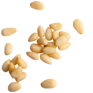 Pine nuts PNG