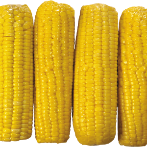 Corn PNG
