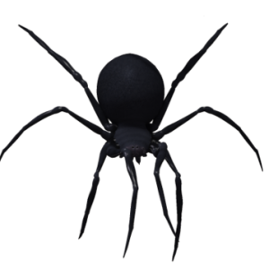 Black widow spider PNG image