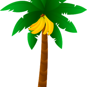 Palm tree PNG
