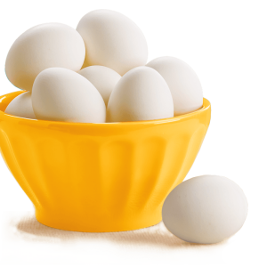 eggs PNG