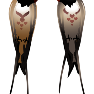 Swallows PNG