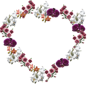 Floral frame PNG
