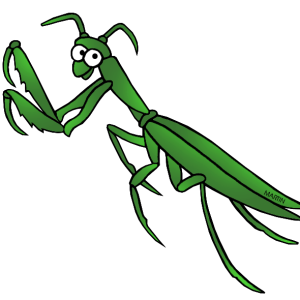Mantis PNG