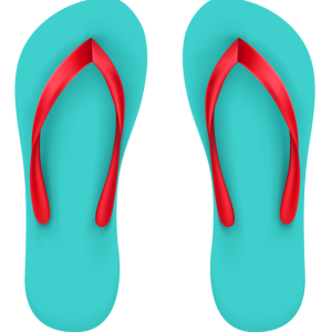 Flip-flops PNG
