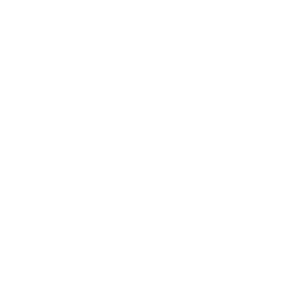 Free shipping PNG