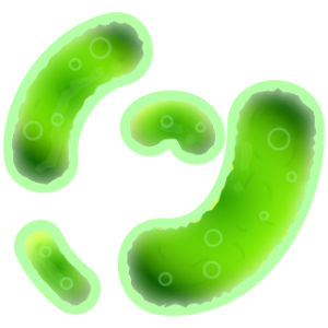Bacteria PNG