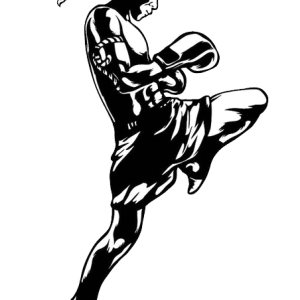 Muay Thai PNG