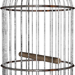 Cage bird PNG