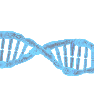 DNA PNG