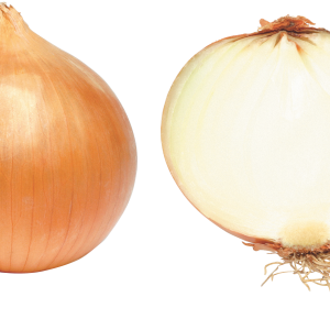Onion PNG image