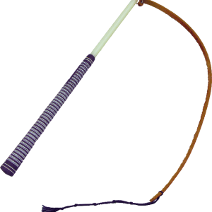 Whip PNG