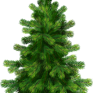 Christmas tree PNG