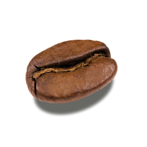 Coffee beans PNG