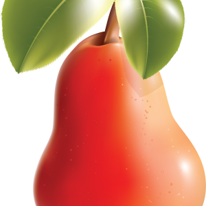 Pear PNG image