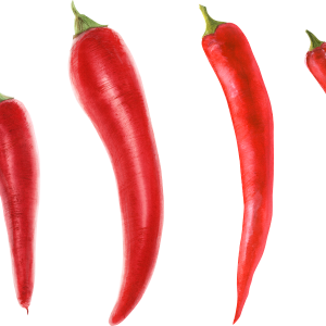 Chili pepper PNG