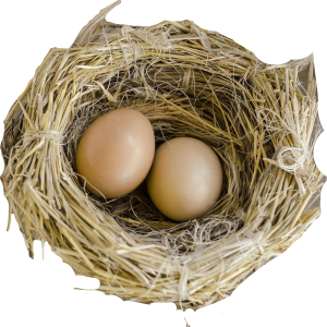 Nest PNG