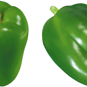 Green pepper PNG image