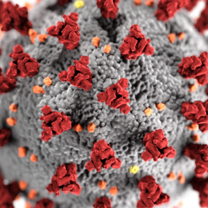 Coronavirus PNG
