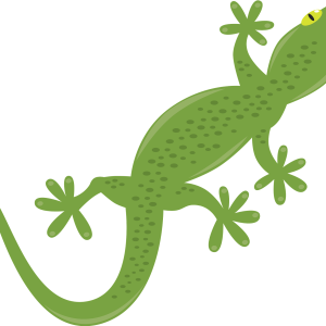 Gecko PNG