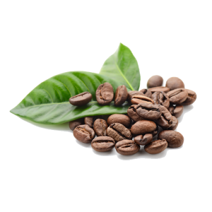 Coffee beans PNG