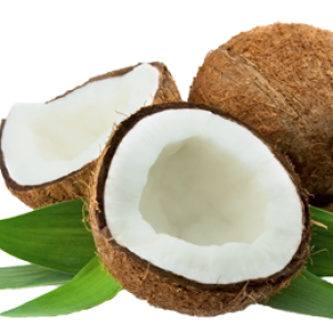 Coconut PNG image