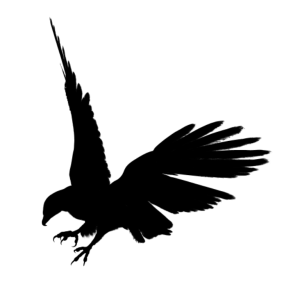 Eagle black siluet PNG image, free download