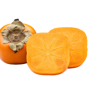 Persimmon PNG