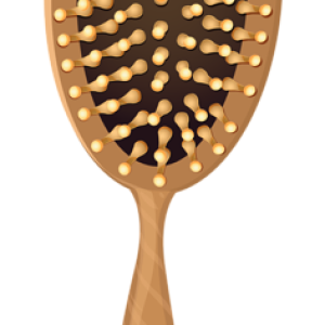 Hairbrush PNG
